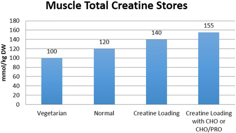 Muscle total creatine stores