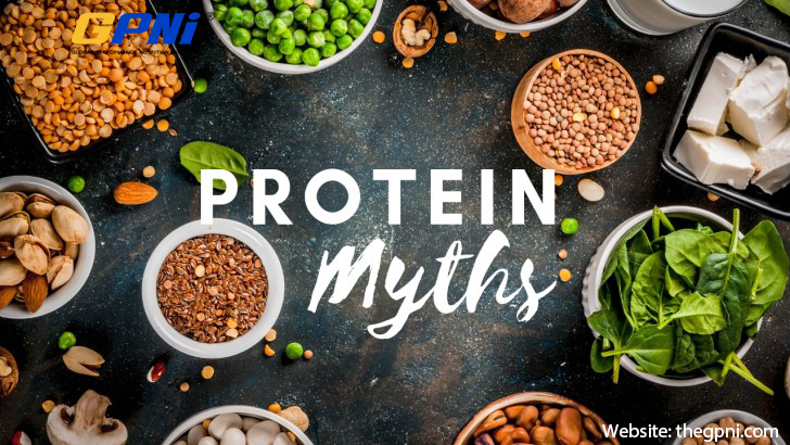 Protein myths