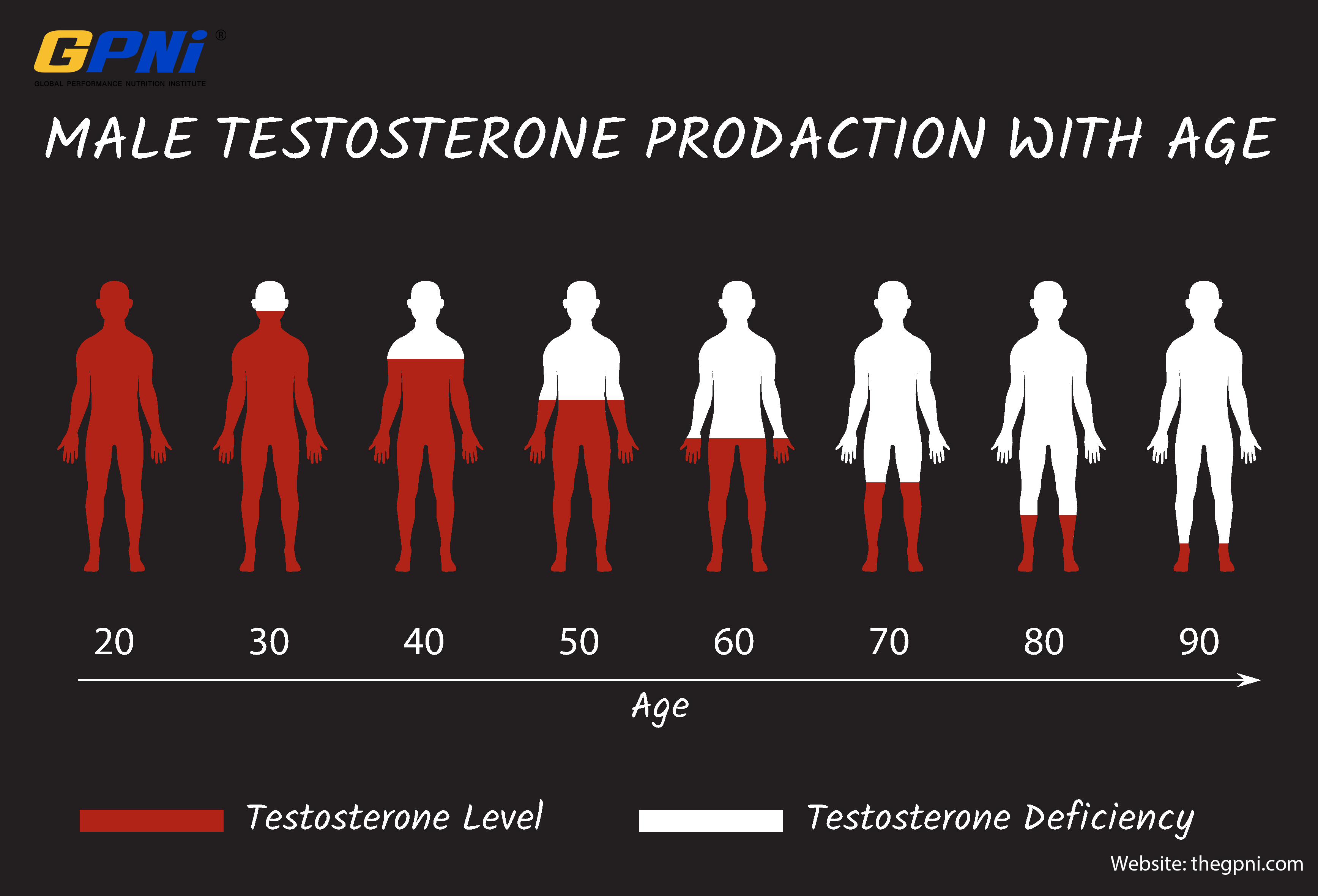 Testosterone production '