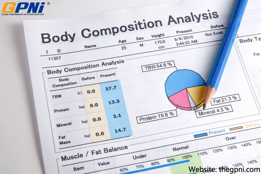Body composition analysis