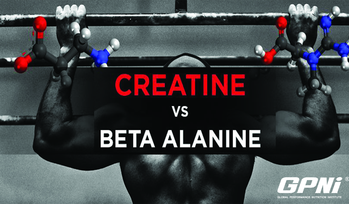 creatine and beta alanine
